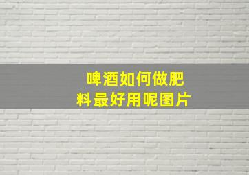 啤酒如何做肥料最好用呢图片