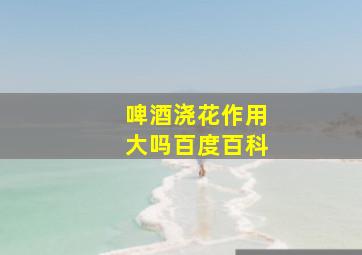 啤酒浇花作用大吗百度百科