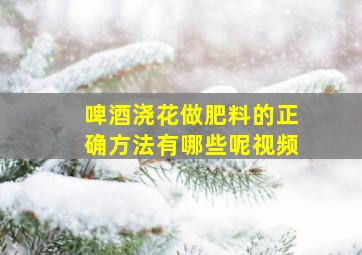 啤酒浇花做肥料的正确方法有哪些呢视频