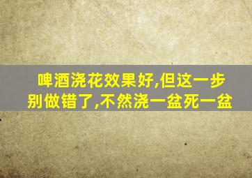 啤酒浇花效果好,但这一步别做错了,不然浇一盆死一盆