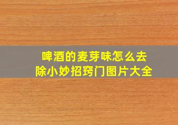 啤酒的麦芽味怎么去除小妙招窍门图片大全