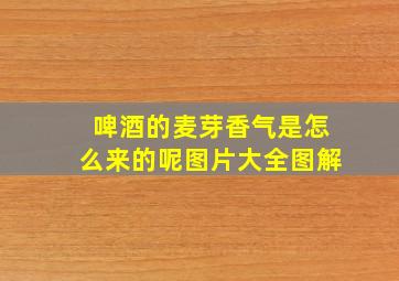 啤酒的麦芽香气是怎么来的呢图片大全图解