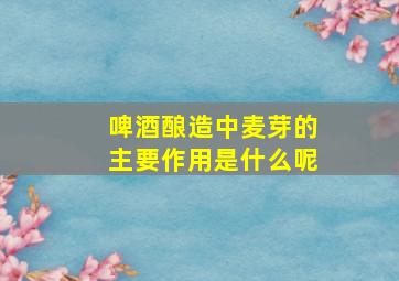 啤酒酿造中麦芽的主要作用是什么呢