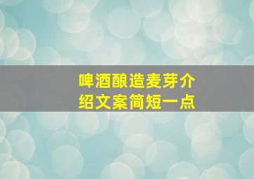 啤酒酿造麦芽介绍文案简短一点