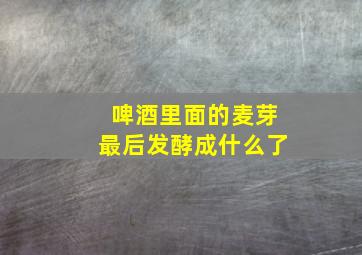 啤酒里面的麦芽最后发酵成什么了