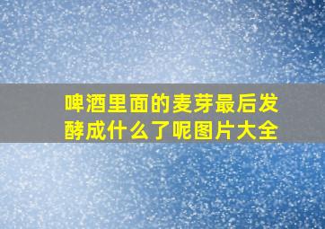 啤酒里面的麦芽最后发酵成什么了呢图片大全