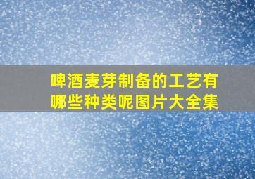 啤酒麦芽制备的工艺有哪些种类呢图片大全集