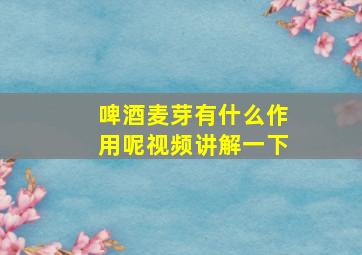 啤酒麦芽有什么作用呢视频讲解一下