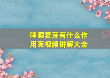 啤酒麦芽有什么作用呢视频讲解大全