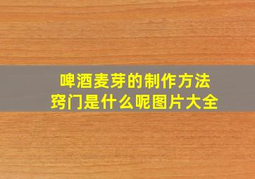 啤酒麦芽的制作方法窍门是什么呢图片大全