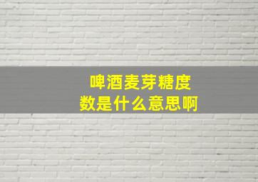 啤酒麦芽糖度数是什么意思啊