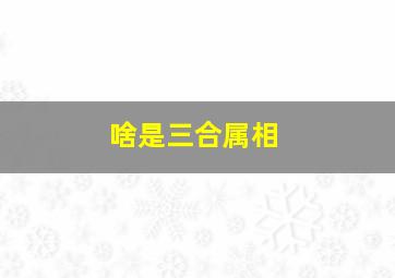 啥是三合属相