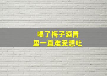 喝了梅子酒胃里一直难受想吐