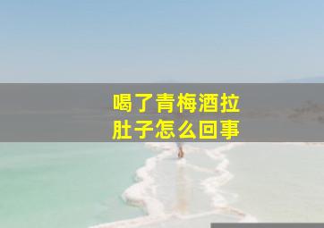 喝了青梅酒拉肚子怎么回事