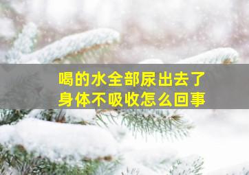 喝的水全部尿出去了身体不吸收怎么回事