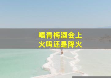 喝青梅酒会上火吗还是降火