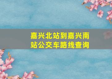 嘉兴北站到嘉兴南站公交车路线查询