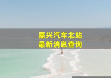 嘉兴汽车北站最新消息查询