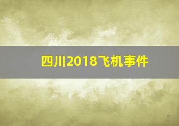 四川2018飞机事件