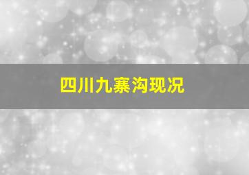 四川九寨沟现况