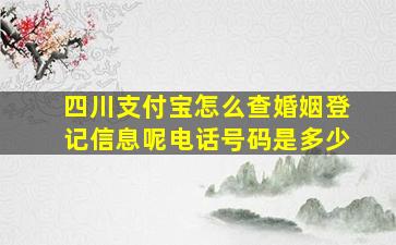 四川支付宝怎么查婚姻登记信息呢电话号码是多少