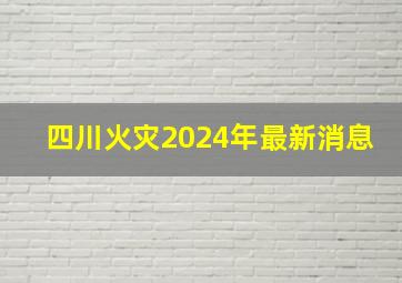 四川火灾2024年最新消息