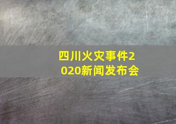 四川火灾事件2020新闻发布会