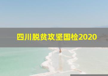 四川脱贫攻坚国检2020