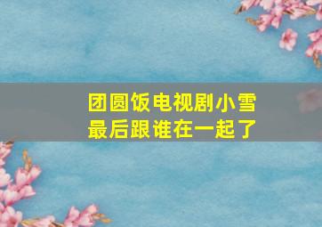 团圆饭电视剧小雪最后跟谁在一起了