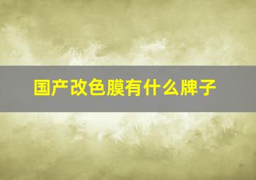 国产改色膜有什么牌子