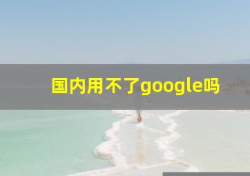 国内用不了google吗