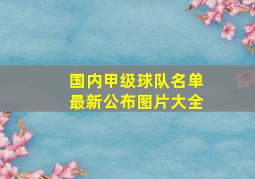 国内甲级球队名单最新公布图片大全