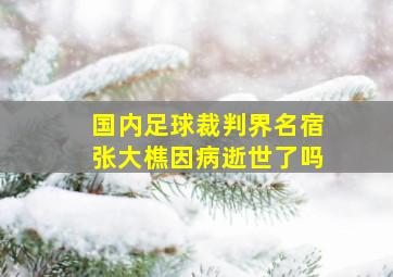 国内足球裁判界名宿张大樵因病逝世了吗