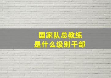 国家队总教练是什么级别干部