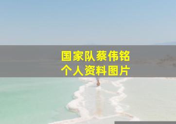 国家队蔡伟铭个人资料图片