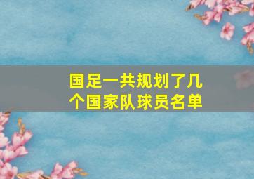 国足一共规划了几个国家队球员名单