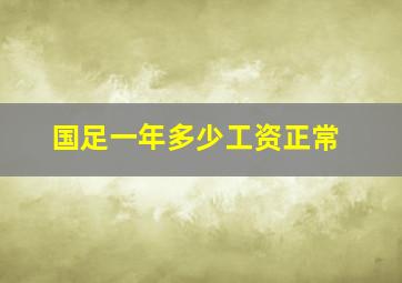 国足一年多少工资正常