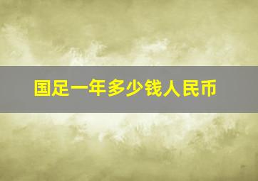 国足一年多少钱人民币