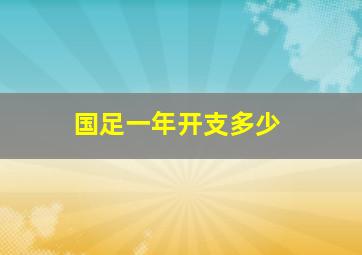 国足一年开支多少