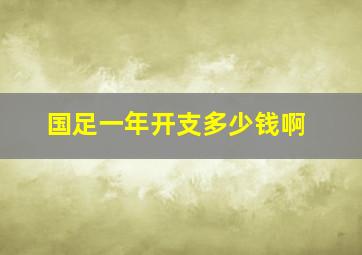 国足一年开支多少钱啊