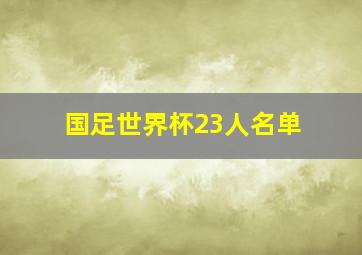 国足世界杯23人名单