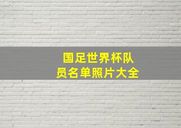 国足世界杯队员名单照片大全