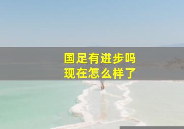 国足有进步吗现在怎么样了