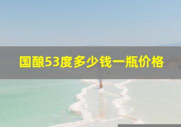 国酿53度多少钱一瓶价格