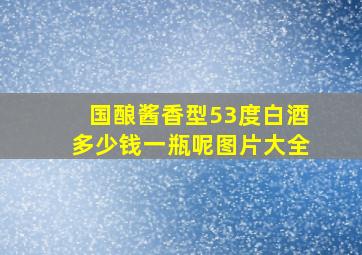 国酿酱香型53度白酒多少钱一瓶呢图片大全