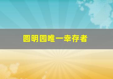 圆明园唯一幸存者