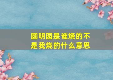 圆明园是谁烧的不是我烧的什么意思