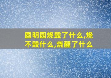 圆明园烧毁了什么,烧不毁什么,烧醒了什么