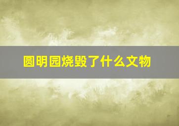 圆明园烧毁了什么文物