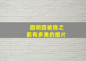 圆明园被烧之前有多美的图片